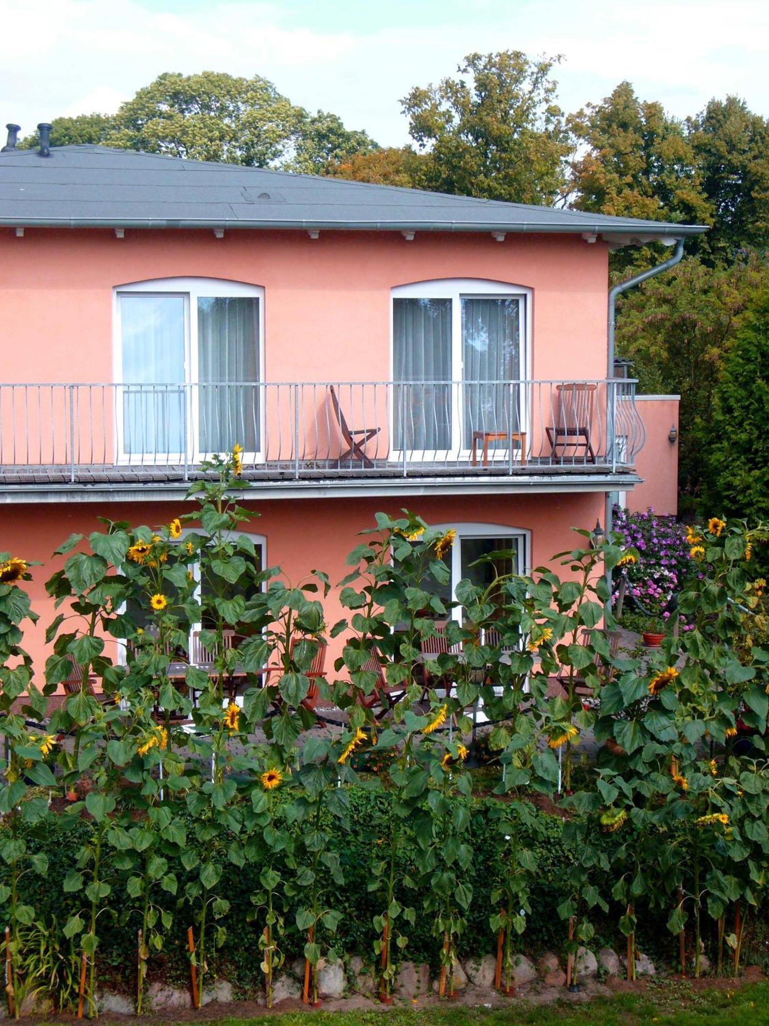 Pension Waldeck Goehren  Exterior foto